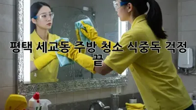 평택 세교동 주방 청소, 식중독 걱정 끝!