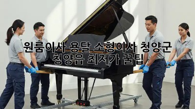 원룸이사 용달 소형이사, 청양군 청양읍 최저가 꿀팁! ✨