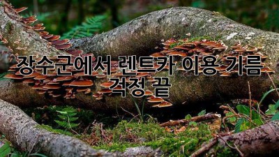 장수군에서 렌트카 이용, 기름 걱정 끝!